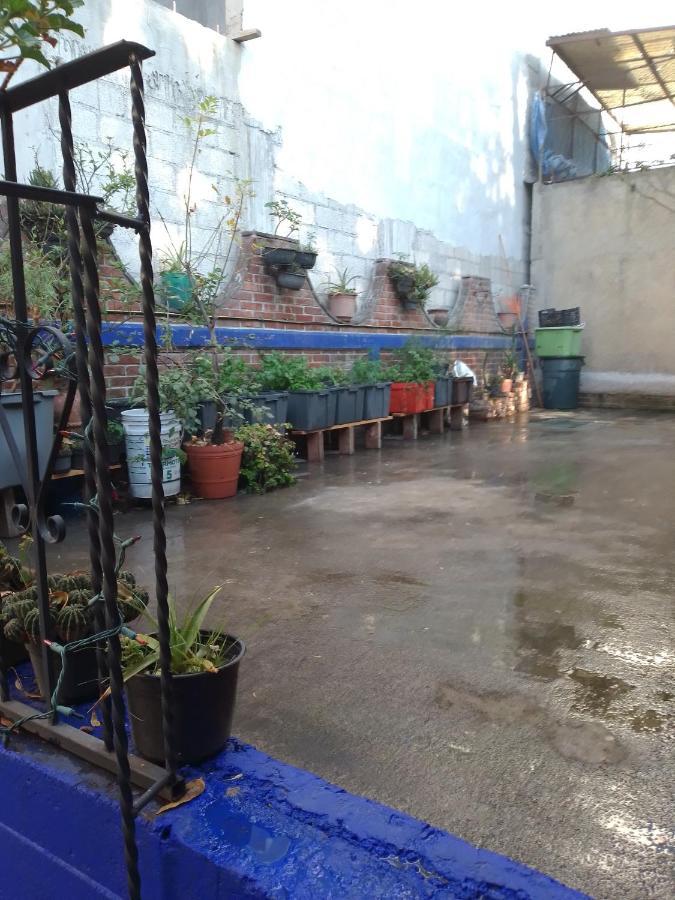 Coyoacan Departamento Tipo Colonial Мехико Экстерьер фото
