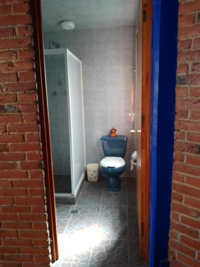 Coyoacan Departamento Tipo Colonial Мехико Экстерьер фото